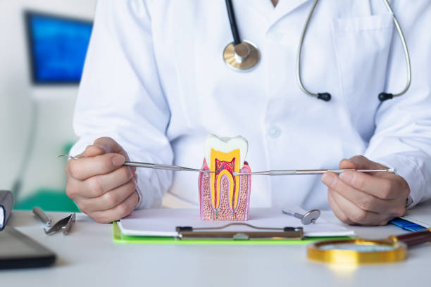 Best Emergency Root Canal Treatment in Havana, IL